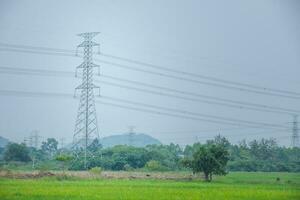 haute Tension électrique pôle dans le milieu de le champ photo