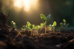 vert semis illustrant concept de Nouveau la vie dans de bonne heure étape de vie, développement usine, Jeune plante avec une sol toile de fond, ai généré photo