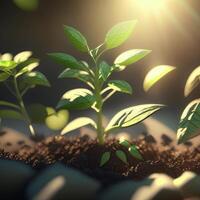 peu vert feuilles dans le soleil, ai généré photo