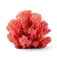 corail récif isolé. illustration ai génératif photo