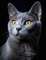 portrait de une magnifique gris chat sur une foncé Contexte. génératif ai photo