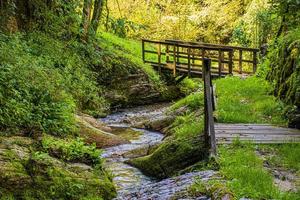 pont en bois et ruisseau