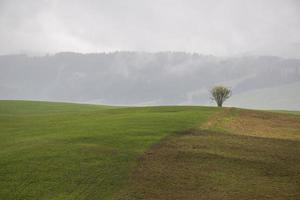 nuages au-dessus d'un pré photo