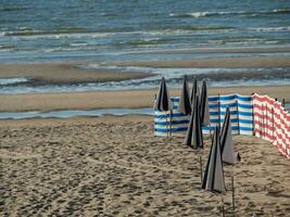 de haan à le Nord mer dans Belgique photo