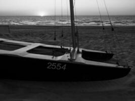 de haan à le Nord mer dans Belgique photo