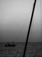 de haan à le Nord mer dans Belgique photo