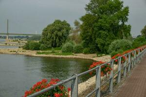 presse ville à le Rhin rivière photo