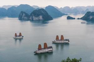 la baie d'halong ou la baie d'ha long au vietnam photo