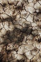 fond texturé de sol désertique sec