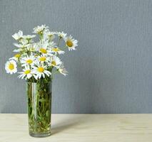 blanc fleurs pour le Contexte photo