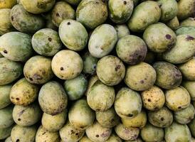 biologique mûr mangue vente dans marché proche en haut photo, délicieux en bonne santé sucré et vert mangue photo