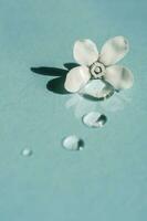 une laissez tomber de transparent cosmétique gel avec fleur sur une bleu Contexte. photo