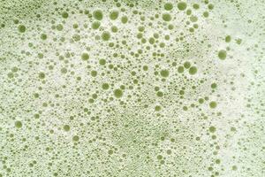 texture de blanc mousse sur une vert Contexte. photo