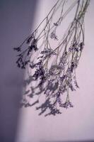 violet lavande fleurs sur une violet Contexte. photo