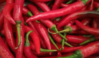 la photographie de une bouquet de piments photo