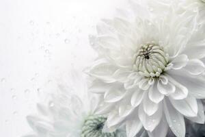 fête printemps la nature mariage fleur fleur blanc floral plante magnifique Contexte. génératif ai. photo