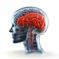 cerveau médical médicament anatomie douleur tête rouge radiographie mal de crâne bleu. génératif ai. photo