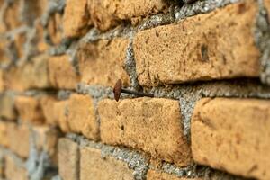 vieux mur de briques Contexte. une clou martelé sur rouge mur de briques. photo