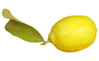 citron isolé plus de blanc photo