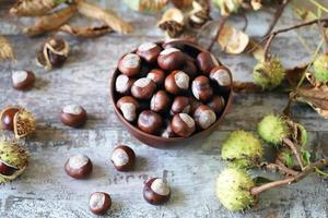 châtaignes et buckeyes dans l'humeur d'automne photo