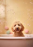 mignonne d'or griffonnage chien dans une petit baignoire avec savon mousse et bulles, mignonne pastel couleurs, génératif ai. photo