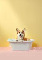 mignonne pembroke gallois corgi chien dans une petit baignoire avec savon mousse et bulles, mignonne pastel couleurs, génératif ai. photo