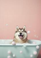 mignonne alaskan malamute chien dans une petit baignoire avec savon mousse et bulles, mignonne pastel couleurs, génératif ai. photo