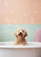 mignonne d'or griffonnage chien dans une petit baignoire avec savon mousse et bulles, mignonne pastel couleurs, génératif ai. photo