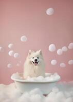 mignonne américain esquimau chien dans une petit baignoire avec savon mousse et bulles, mignonne pastel couleurs, génératif ai. photo