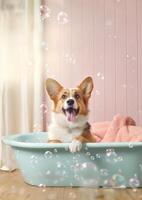 mignonne pembroke gallois corgi chien dans une petit baignoire avec savon mousse et bulles, mignonne pastel couleurs, génératif ai. photo