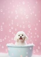 mignonne bichon frise chien dans une petit baignoire avec savon mousse et bulles, mignonne pastel couleurs, génératif ai. photo