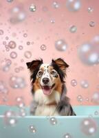 mignonne australien berger chien dans une petit baignoire avec savon mousse et bulles, mignonne pastel couleurs, génératif ai. photo