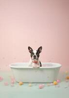 mignonne Boston terrier chien dans une petit baignoire avec savon mousse et bulles, mignonne pastel couleurs, génératif ai. photo