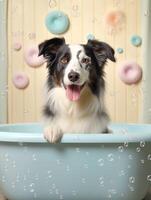 mignonne frontière colley chien dans une petit baignoire avec savon mousse et bulles, mignonne pastel couleur, génératif ai. photo