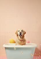 mignonne d'or retriever chien dans une petit baignoire avec savon mousse et bulles, mignonne pastel couleurs, génératif ai. photo