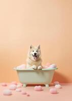 mignonne alaskan malamute chien dans une petit baignoire avec savon mousse et bulles, mignonne pastel couleurs, génératif ai. photo