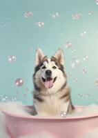 mignonne alaskan malamute chien dans une petit baignoire avec savon mousse et bulles, mignonne pastel couleurs, génératif ai. photo