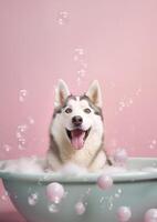 mignonne sibérien rauque chien dans une petit baignoire avec savon mousse et bulles, mignonne pastel couleurs, génératif ai. photo
