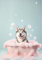 mignonne sibérien rauque chien dans une petit baignoire avec savon mousse et bulles, mignonne pastel couleurs, génératif ai. photo