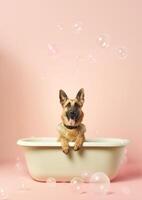 mignonne allemand berger chien dans une petit baignoire avec savon mousse et bulles, mignonne pastel couleurs, génératif ai. photo