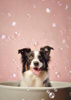 mignonne frontière colley chien dans une petit baignoire avec savon mousse et bulles, mignonne pastel couleur, génératif ai. photo