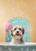 mignonne havanais chien dans une petit baignoire avec savon mousse et bulles, mignonne pastel couleurs, génératif ai. photo