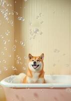 mignonne shiba inu chien dans une petit baignoire avec savon mousse et bulles, mignonne pastel couleurs, génératif ai. photo