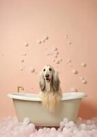 mignonne afghan chien chien dans une petit baignoire avec savon mousse et bulles, mignonne pastel couleurs, génératif ai. photo