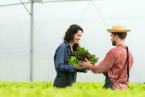 tous les deux petit affaires propriétaires avoir biologique légume jardins, elles ou ils cueillette Frais légumes à livrer à consommateurs. photo