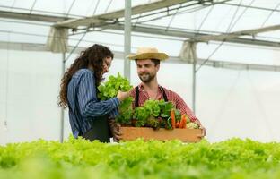 tous les deux petit affaires propriétaires avoir biologique légume jardins, elles ou ils cueillette Frais légumes à livrer à consommateurs. photo