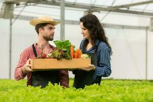 tous les deux petit affaires propriétaires avoir biologique légume jardins, elles ou ils cueillette Frais légumes à livrer à consommateurs. photo
