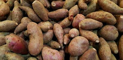 groupe de beaucoup Frais sucré pomme de terre, manioc, manioc ou Tapioca pour vente à biologique légume marché ou supermarché. en bonne santé et régime nourriture pour vie. photo