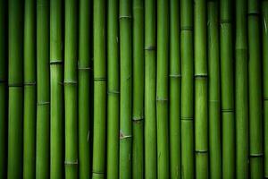 fond de texture de bambou photo