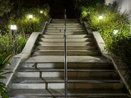 le escaliers à nuit et le les plantes sur tous les deux côtés sont décoré avec lumières photo